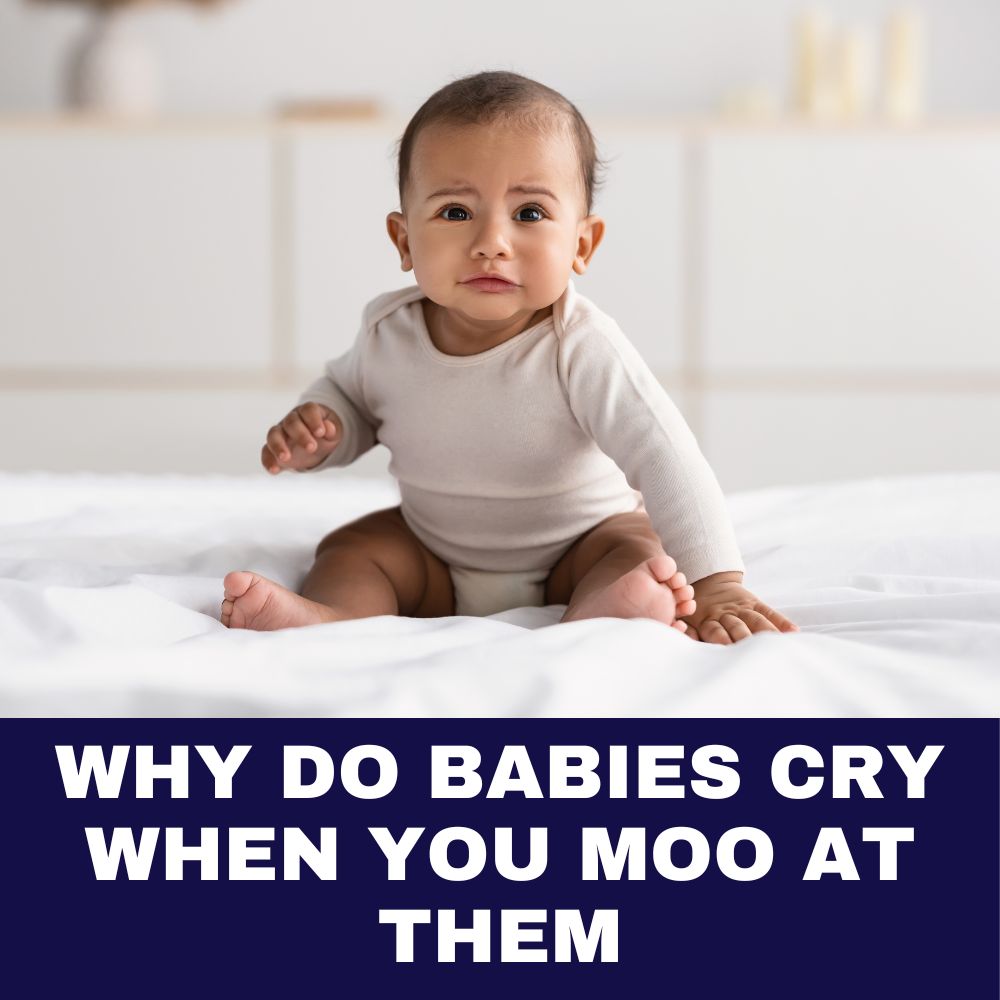 Why Do Babies Cry When You Moo at Them 2