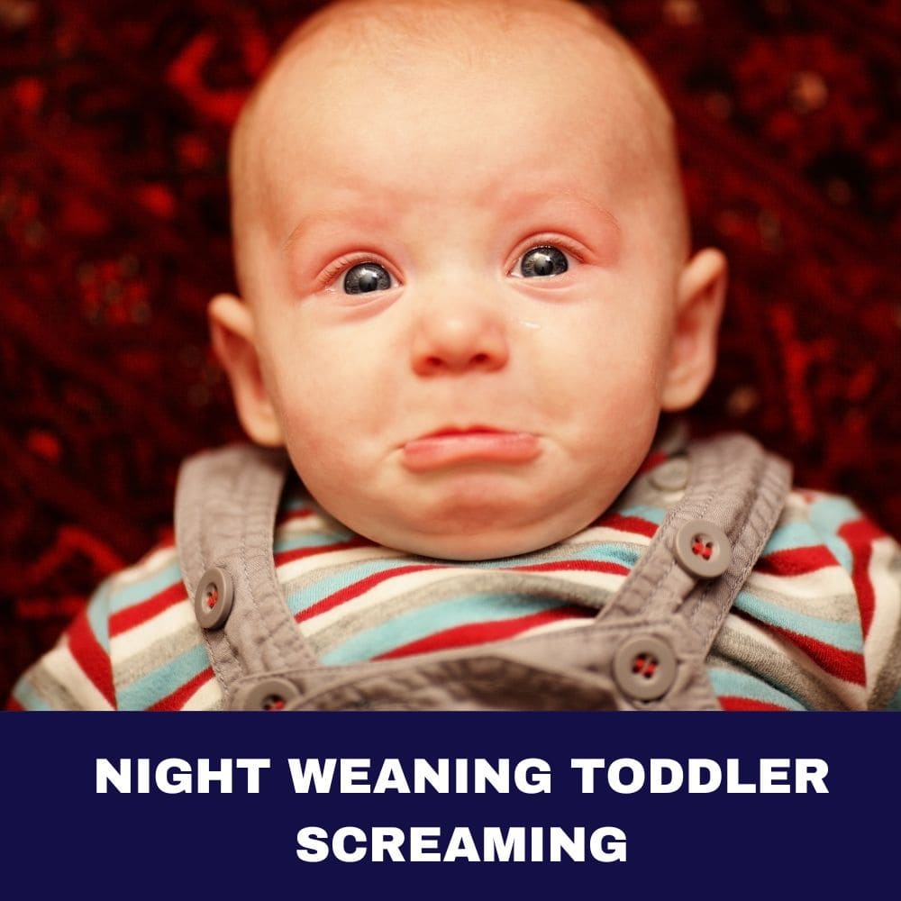 Night Weaning Toddler Screaming 2