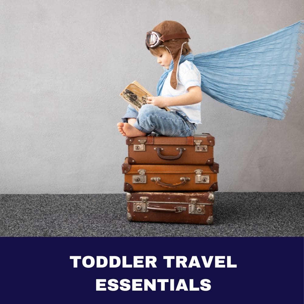 Toddler Travel Essential