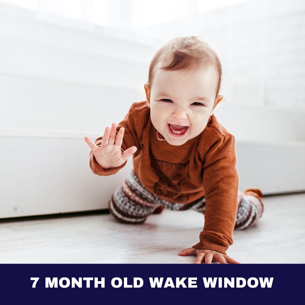 7 Month Old Wake Window