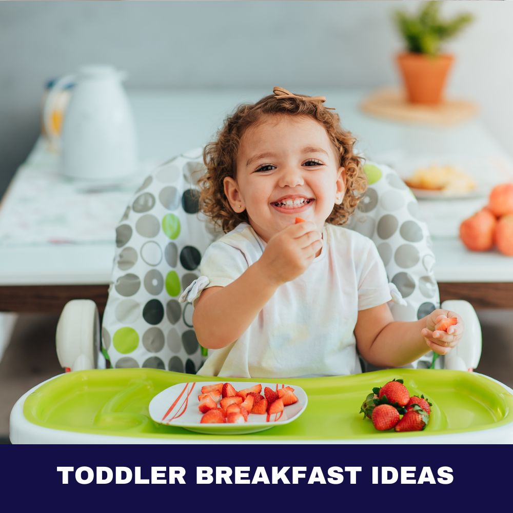 Toddler Lunch Ideas: 37 Delightful Morsels to Tantalize Tiny Taste Buds