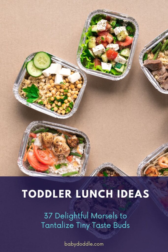 Toddler Lunch Ideas